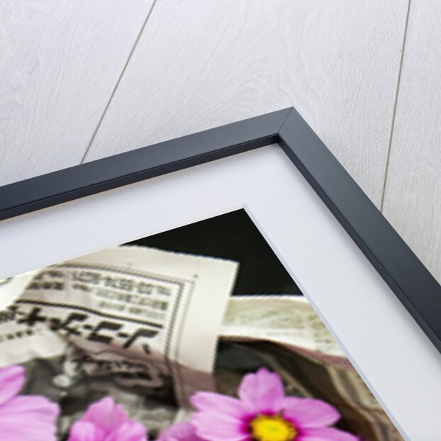 Bouquet of Cosmos Flowers by Anonymous