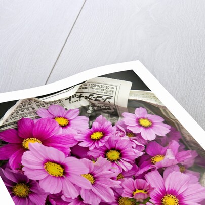 Bouquet of Cosmos Flowers by Anonymous