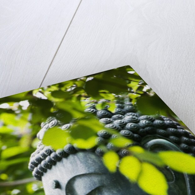 Buddha in Senso-ji Temple Garden by Anonymous