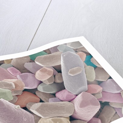 Otoliths from the Inner Ear of a Rabbit by Anonymous