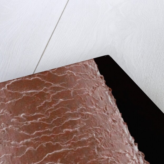 Human Hair by Anonymous