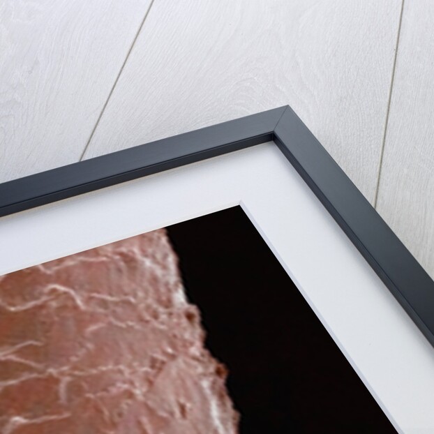 Human Hair by Anonymous