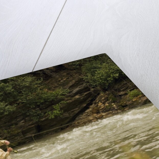 Father and Son Fly Fishing in Moose Creek by Anonymous