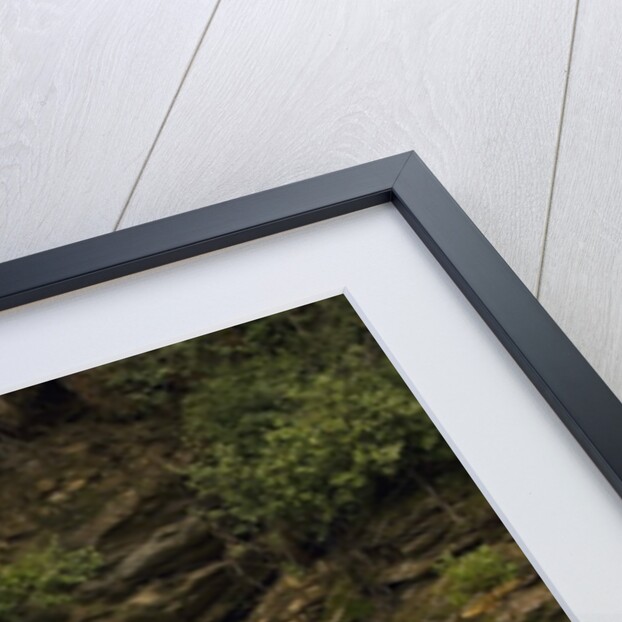 Father and Son Fly Fishing in Moose Creek by Anonymous