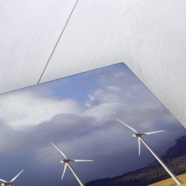 Wind Farm in Spain by Anonymous
