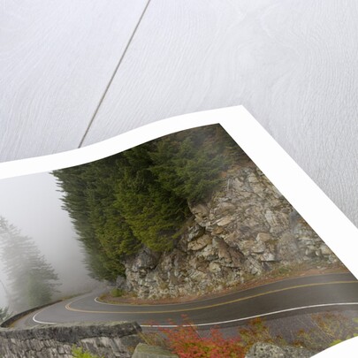 Mountain Road Through the Fog by Anonymous