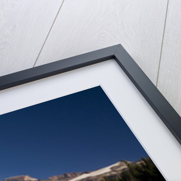 Fall Colors at Sunrise on Mount Rainier by Anonymous