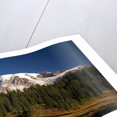 Fall Colors at Sunrise on Mount Rainier by Anonymous