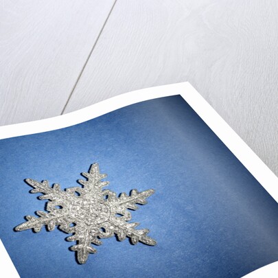 Decorative Snowflake by Anonymous