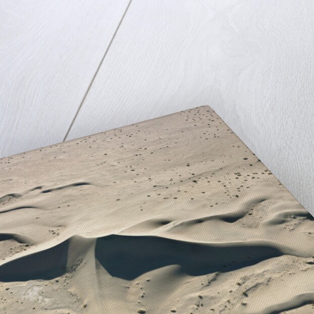 Sand Dunes by Anonymous