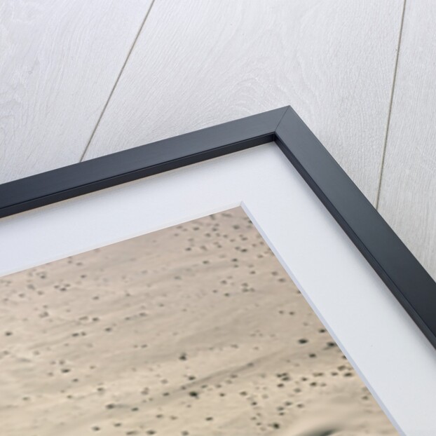 Sand Dunes by Anonymous