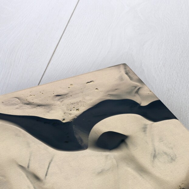Sand Dunes by Anonymous