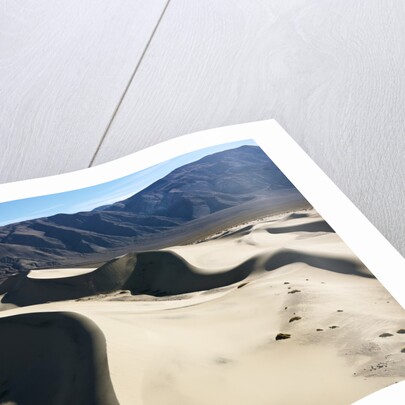 Sand Dunes by Anonymous