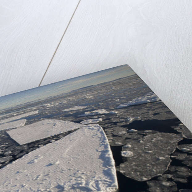 Pans of Ice in Weddell Sea by Anonymous