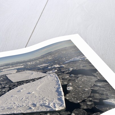 Pans of Ice in Weddell Sea by Anonymous