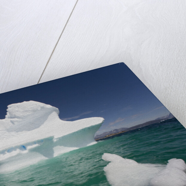 Icebergs in Greenland by Anonymous