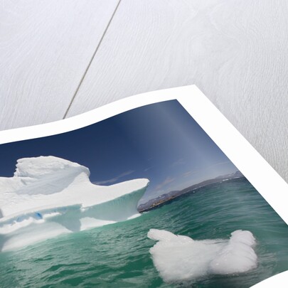 Icebergs in Greenland by Anonymous