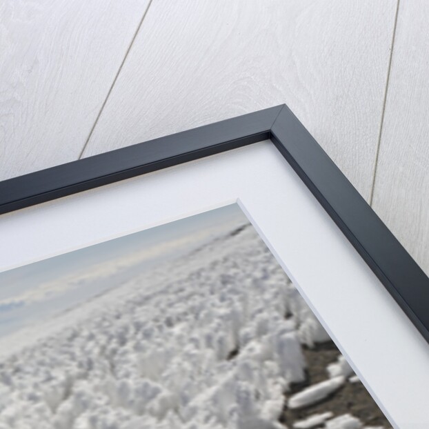 Melting Ice Field on Mount Kilimanjaro by Anonymous