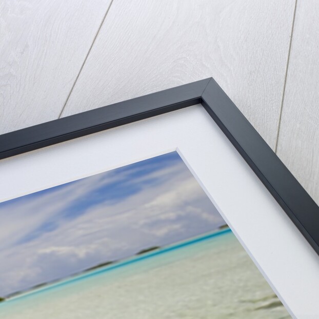 Sharks at Blue Lagoon Beach by Anonymous