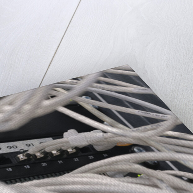 Computer Network Cables by Anonymous