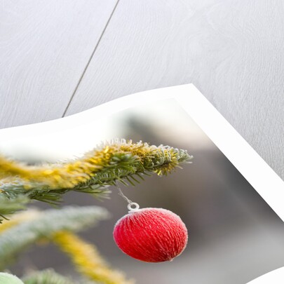 Christmas Ornaments on Tree Covered with Frost by Anonymous