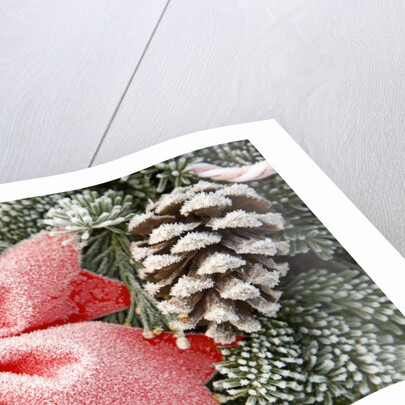 Christmas Decoration on Tree Covered with Frost by Anonymous