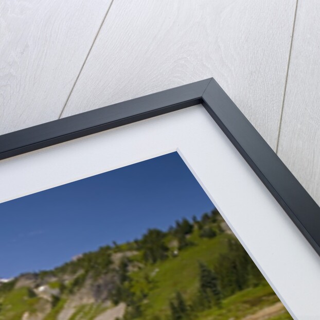 Mount Rainier National Park by Anonymous