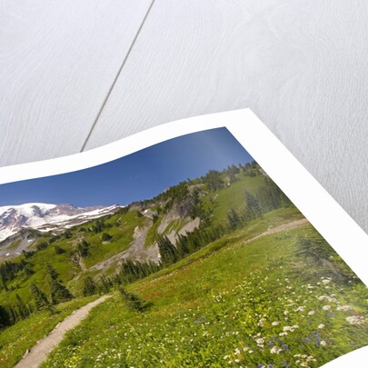 Mount Rainier National Park by Anonymous