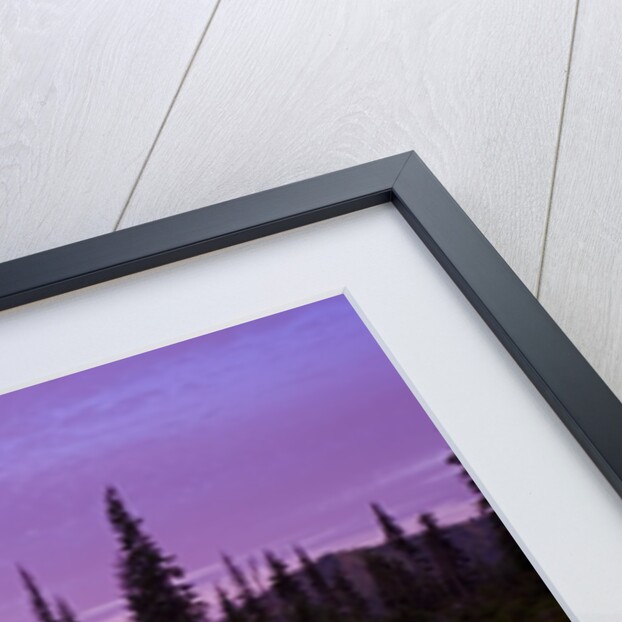 Mount Rainier and Tipsoo Lake by Anonymous