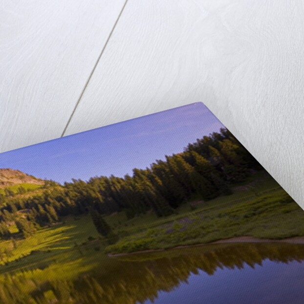 Yakima Peak and Tipsoo Lake by Anonymous