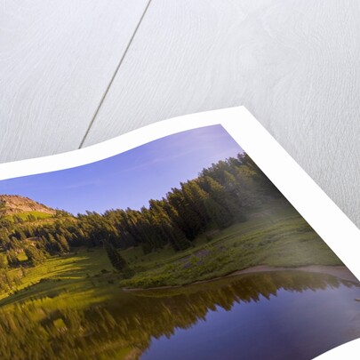 Yakima Peak and Tipsoo Lake by Anonymous