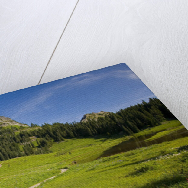 Yakima Peak and Tipsoo Lake by Anonymous