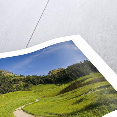 Yakima Peak and Tipsoo Lake by Anonymous
