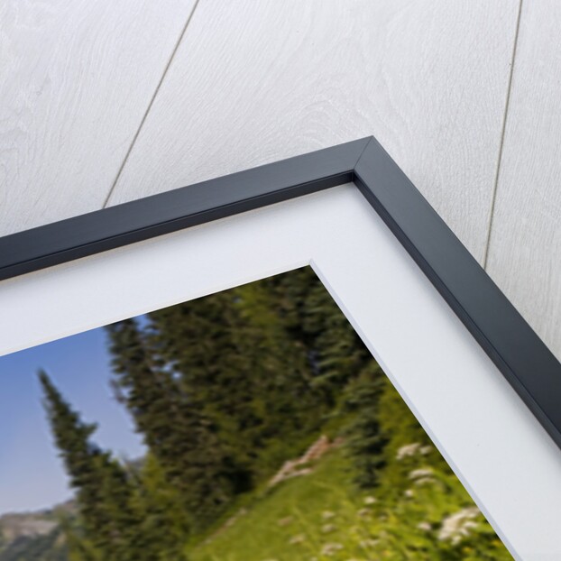 Mount Rainier National Park by Anonymous