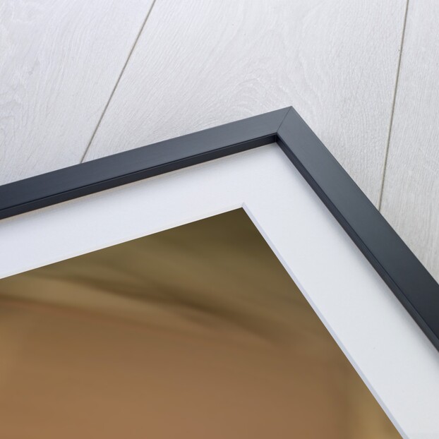 Dog Shaking Off by Anonymous