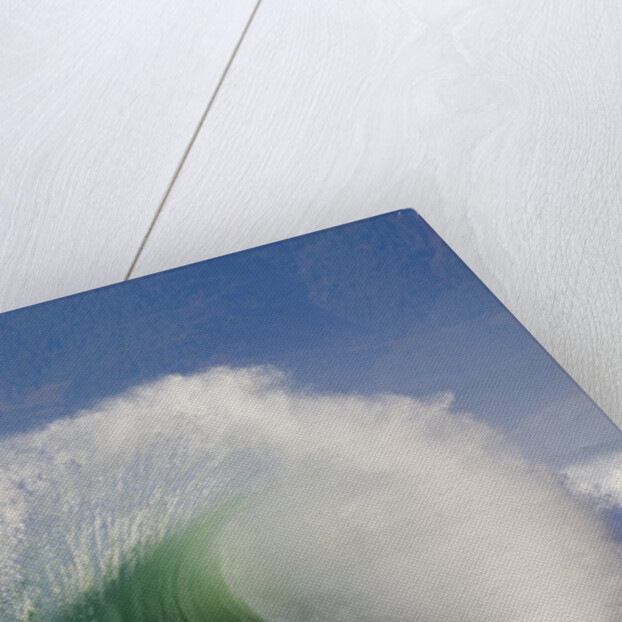 Wave Curl in Winter Storm by Anonymous
