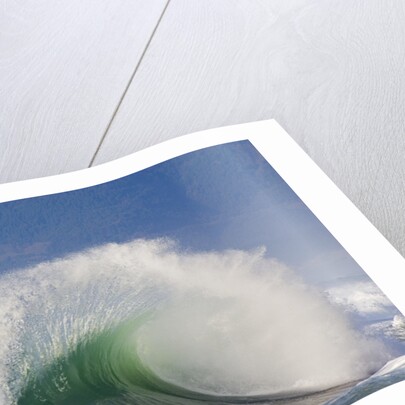 Wave Curl in Winter Storm by Anonymous