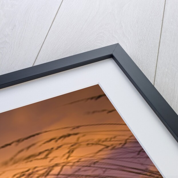 Yaquina Head Lighthouse at Sunset by Anonymous