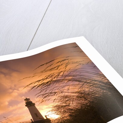 Yaquina Head Lighthouse at Sunset by Anonymous