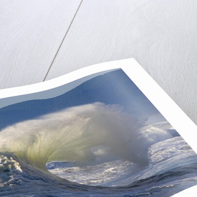 Wave Curl in Winter Storm by Anonymous