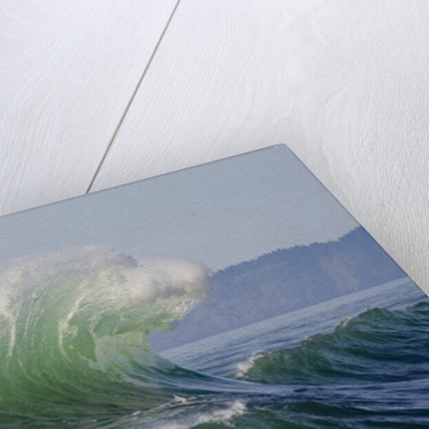 Wave Curl in Winter Storm by Anonymous