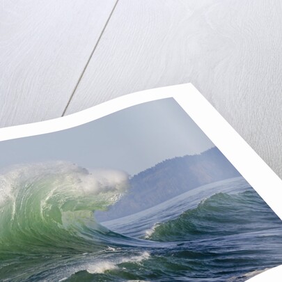 Wave Curl in Winter Storm by Anonymous