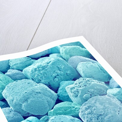 Table Salt by Anonymous