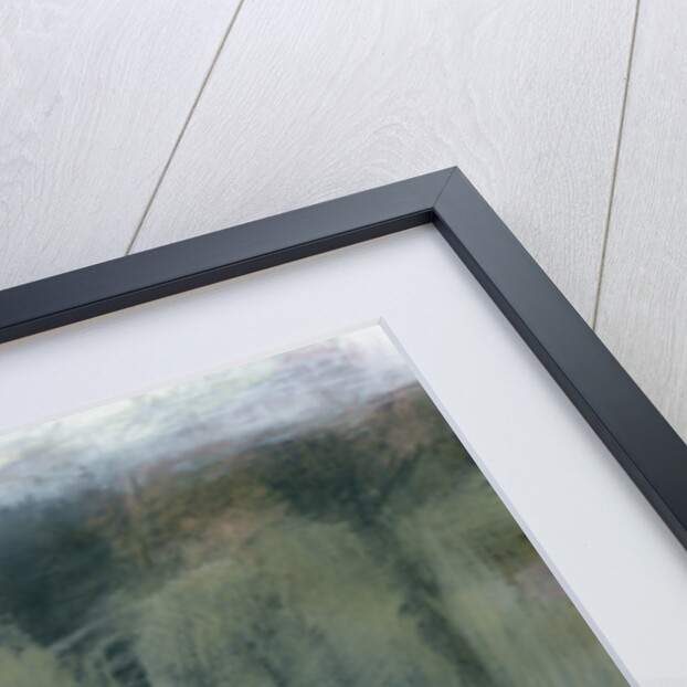 Tree Farm by Lou Wall