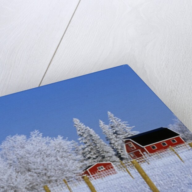 Farm in Winter by Anonymous