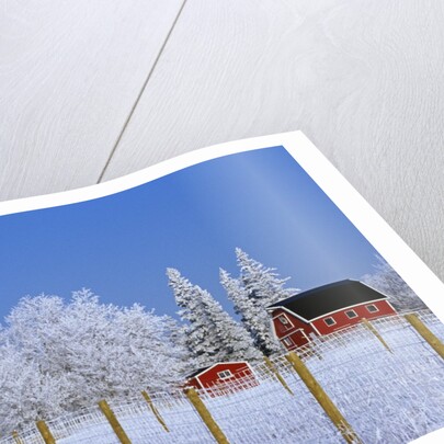 Farm in Winter by Anonymous