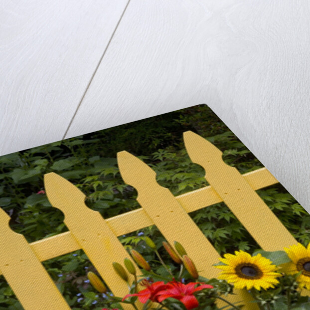 Flower Garden and Picket Fence by Anonymous