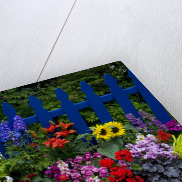 Flower Garden and Picket Fence by Anonymous