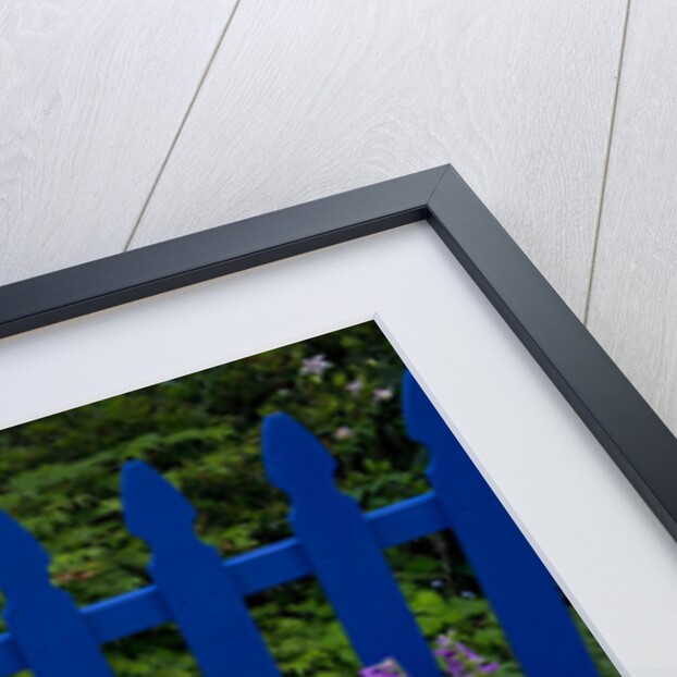 Flower Garden and Picket Fence by Anonymous