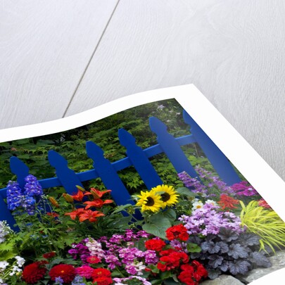 Flower Garden and Picket Fence by Anonymous
